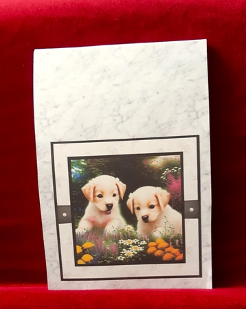 Puppies 3 by Anne Jackson