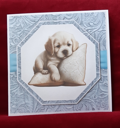 Topper Get Well Soon 1 by Anne Jackson
