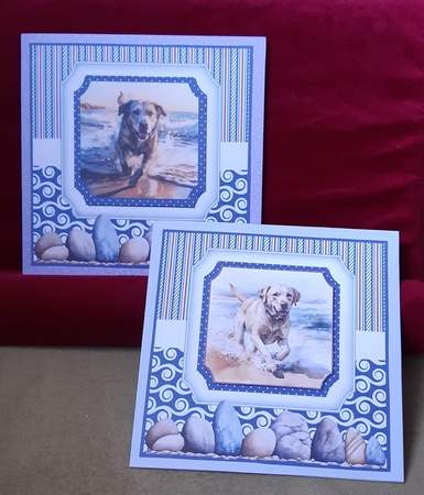 Beach Lab card front 3 by Anne Jackson