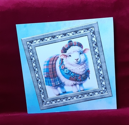Tartan sheep card front 8 by Anne Jackson