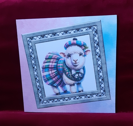 Tartan sheep card front 10 by Anne Jackson