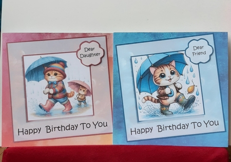 Lots of Puddles Birthday by Anne Jackson