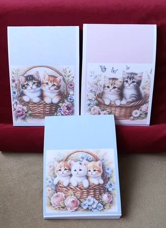 Kittens in a basket by Anne Jackson