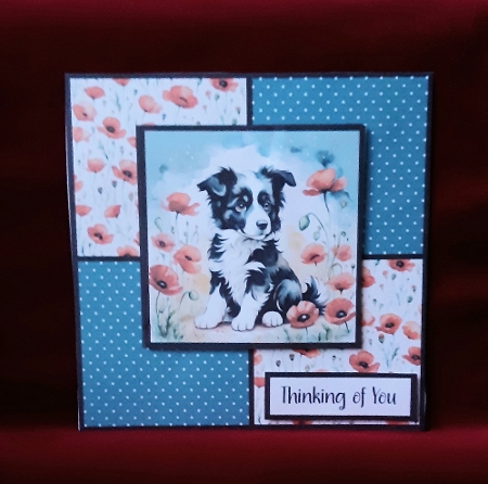 Poppy Dog by Anne Jackson