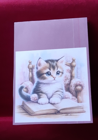 Cat in Chair by Anne Jackson