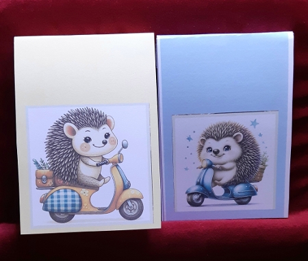 Go Faster Hoggy by Anne Jackson