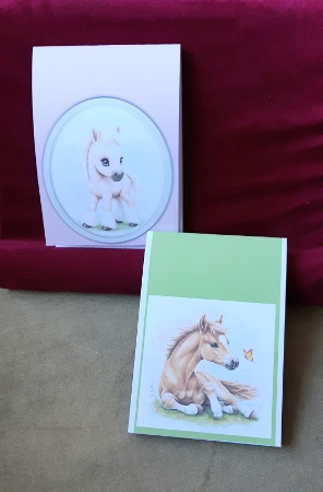 Foals by Anne Jackson