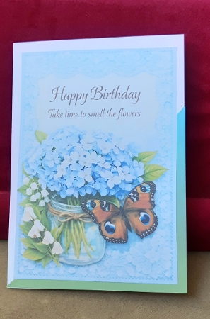 hydrangeas by Anne Jackson
