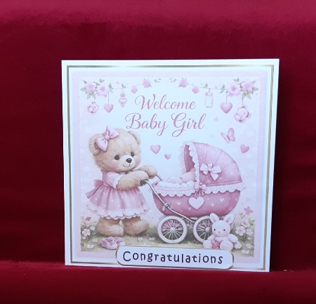 baby girl pram by Anne Jackson