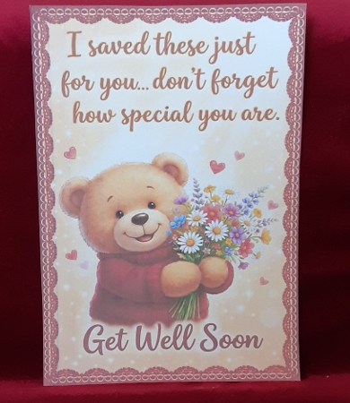 get well bear by Anne Jackson