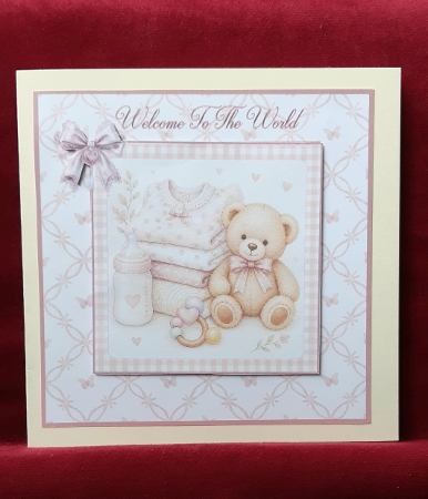 Welcome To The World Girl by Anne Jackson