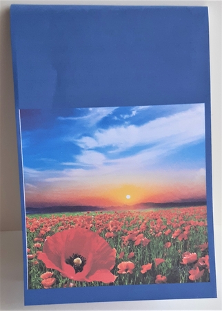 Simply Poppies - Red Poppy Field Pyrimage + Insert & Tag by Anne Jackson