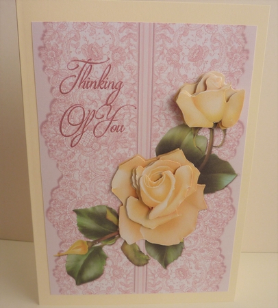 Roses on Lace - Cream on Pink - Thinking of You by Anne Jackson