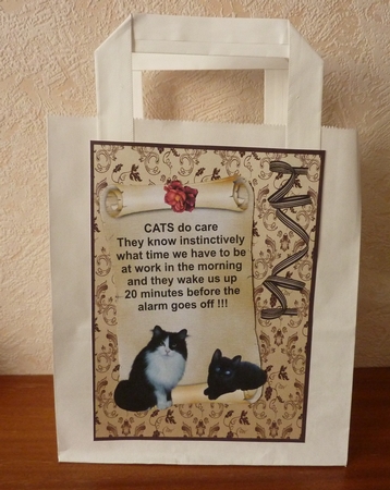 Cats 12 by Anne Jackson