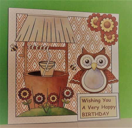 Birthday/get Well Soon Owl Card Front by Anne Jackson