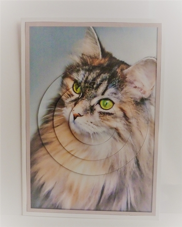 Cat Circle Pyramid 3 by Anne Jackson