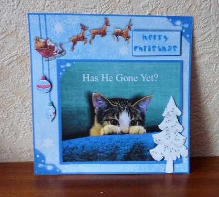 Has He Gone Yet? by Anne Jackson