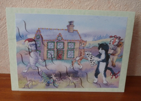 Christmas home on the move, cats moving house at Christmas by Anne Jackson