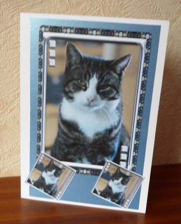 JJ LOVE MY CAT 5 5X7 by Anne Jackson