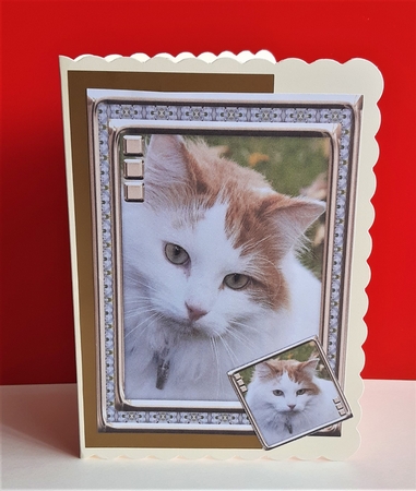  JJ LOVE MY CAT 1 5X7 by Anne Jackson