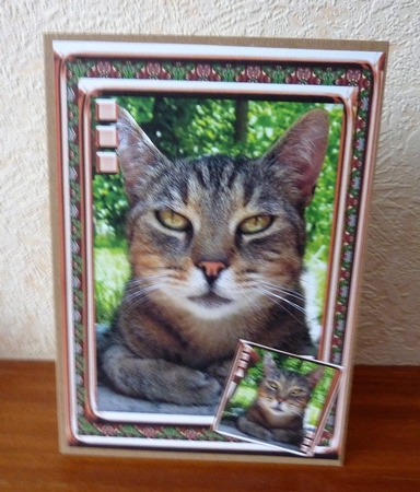  JJ LOVE MY CAT 2 5X7 by Anne Jackson