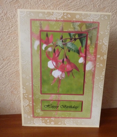Brilliant Fuschia Birthday by Anne Jackson