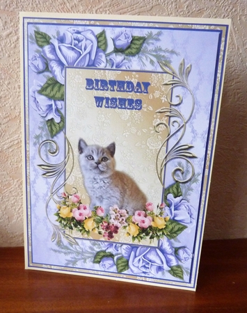 Grey Kitten and Flowers by Anne Jackson