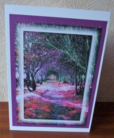 Pink and Purple Scenery Toppers and Tags 1 by Anne Jackson