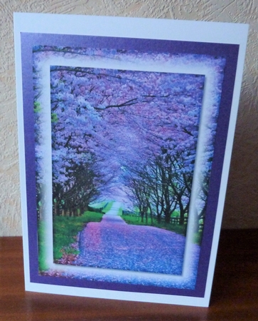 Pink and Purple Scenery Toppers and Tags 6 by Anne Jackson