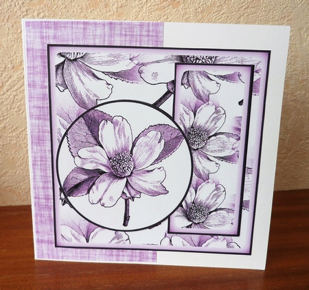 floral colours 9 by Anne Jackson