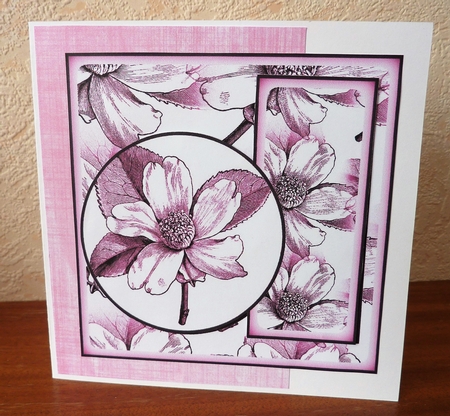 floral colours 10 by Anne Jackson
