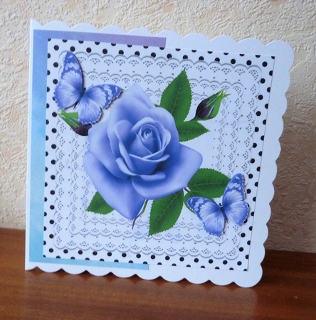 pretty lilac roses on lace with butterflies and black polkadot 8x8 by Anne Jackson