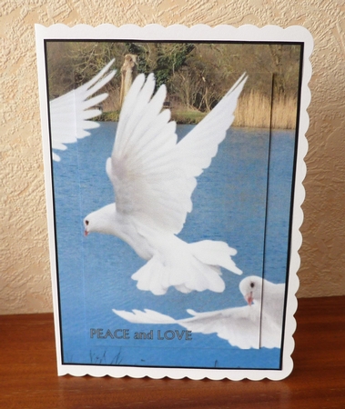 love and peace by Anne Jackson