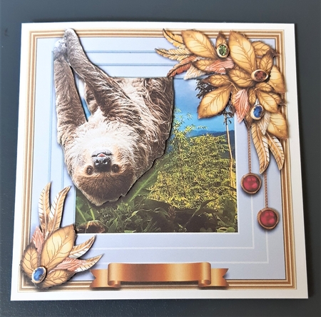 Wildlife Stepping Out - Sloth by Anne Jackson