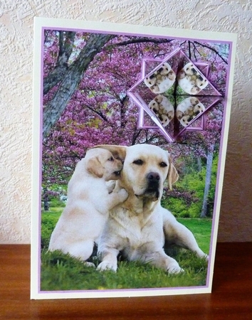 JJ LABRADOR A5 TEA BAG CARD by Anne Jackson