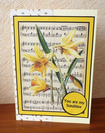 you are my sunshine by Anne Jackson