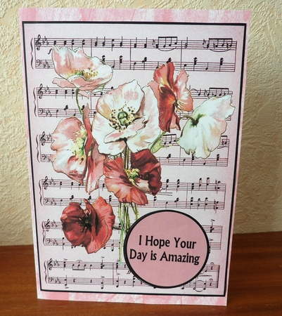poppy love  by Anne Jackson
