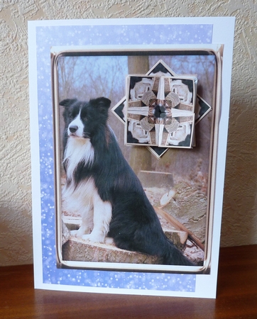 JJ LOVE MY DOG BORDER COLLIE 5X7 TEA BAG CARD by Anne Jackson