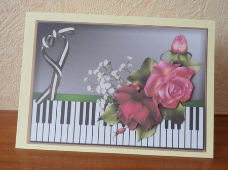 Deep pink roses by Anne Jackson