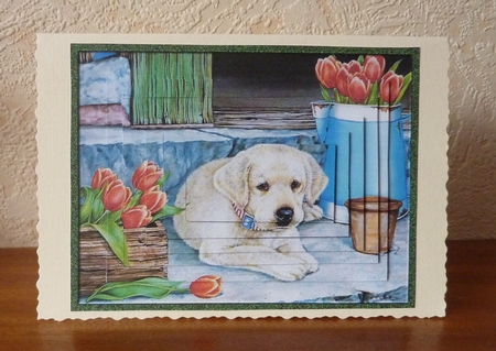 Cute Pups and Flowers Pyramid 2 by Anne Jackson