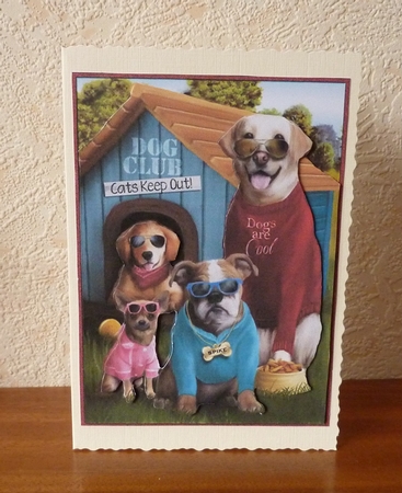 Dogs are Cool Step by Step by Anne Jackson