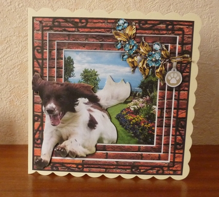 Stepping Out - More Dogs 13 by Anne Jackson