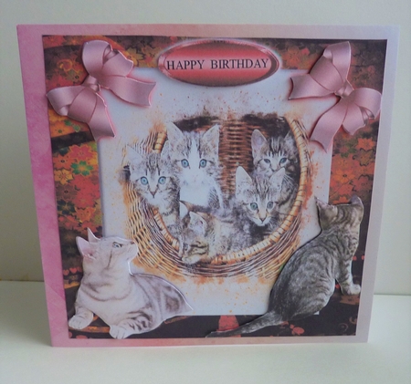 kittens galore by Anne Jackson