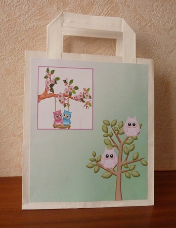 Little Owl Papers by Anne Jackson