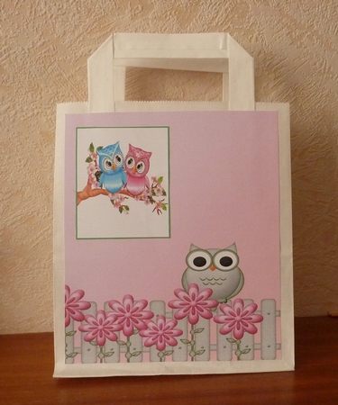 Little Owl Papers by Anne Jackson
