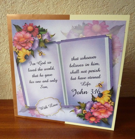 Psalm John 3:16 - Open Book 8x8 by Anne Jackson