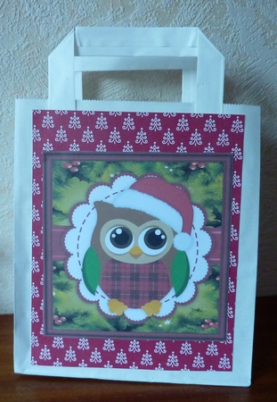 Gorgeous Christmas Owl With Santa Hat 8x8 by Anne Jackson