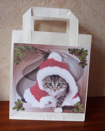 Santas Little Helper by Anne Jackson