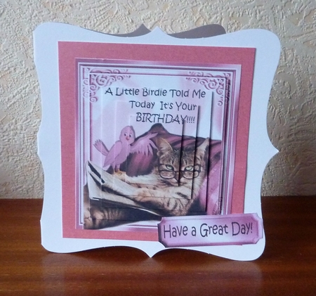 Lazy kitty with pink bird pyramids by Anne Jackson