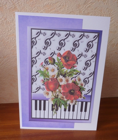 Essentials Plains Paper Pack 1 - Pinks by Anne Jackson